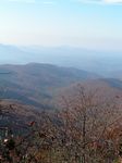 Click to see big picture (360x480 pixels; 34 KB))